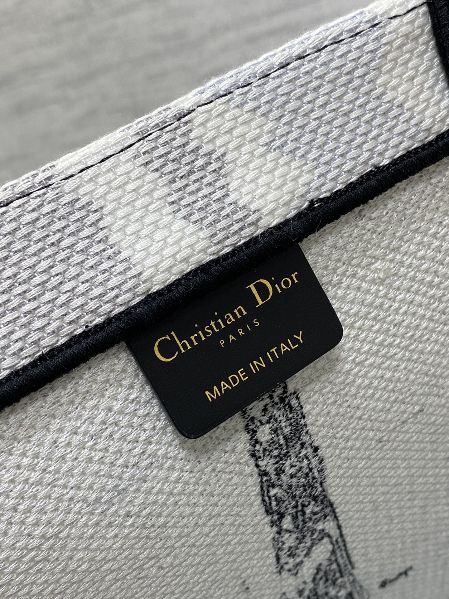 Medium Dior Book Tote Bag White and Black Paris Embroidery